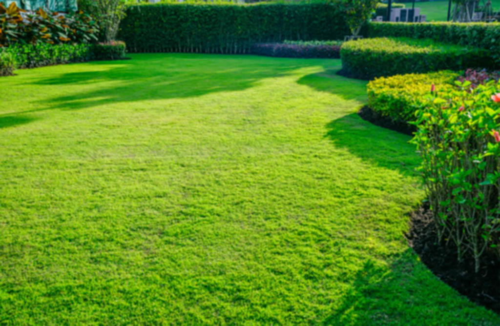 Entretien de jardin | Le savoir-faire et la qualité du service. Entretien jardin Firminy